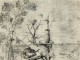 El (otro) hombre árbol de El Bosco