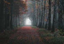 Equinocio de Otoño con Denny Bitte