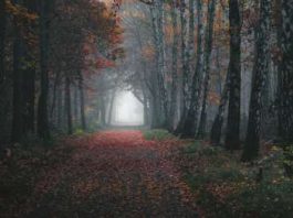 Equinocio de Otoño con Denny Bitte
