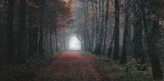 Equinocio de Otoño con Denny Bitte