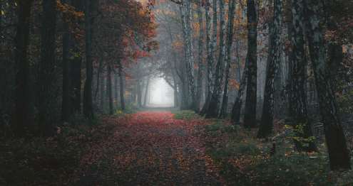 Equinocio de Otoño con Denny Bitte
